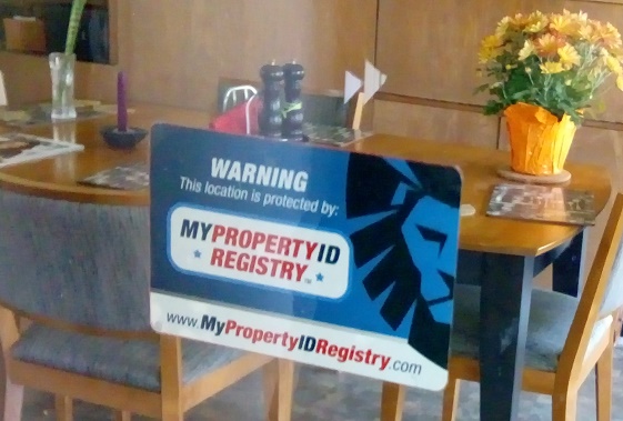 Anti-Theft Security System