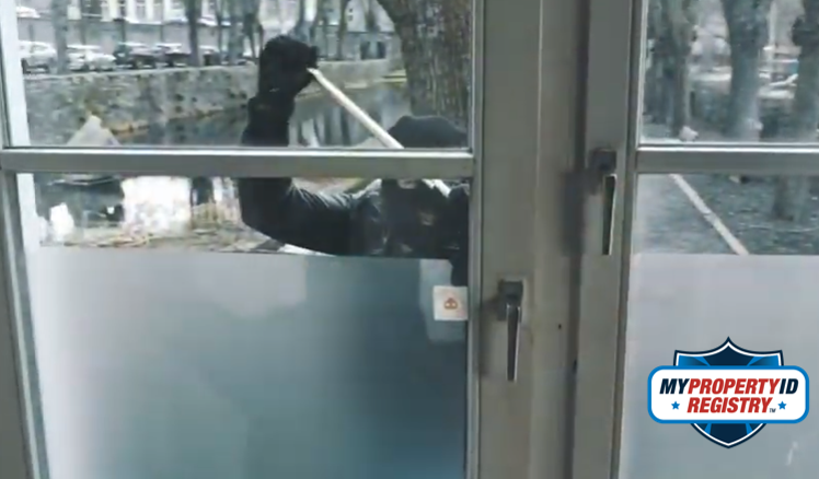 Burglary, Theft, Robbery