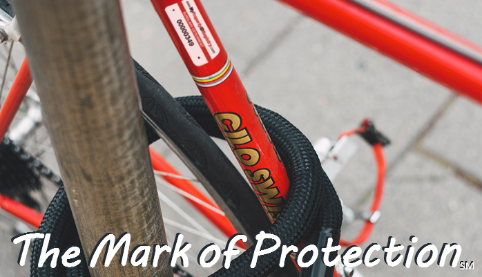 Low Cost Security System